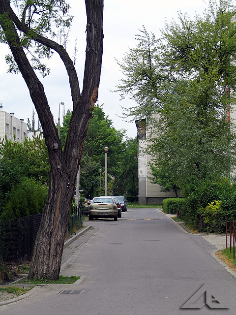 Widok z uliczki osiedla Niepodleg³o¶ci na pó³noc w kierunku ulicy Wileñskiej.